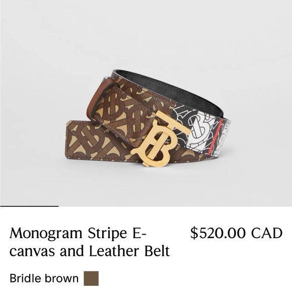 Burberry Monogram Stripe E-canvas and Leather Belt, brindle brown NEW - Picture 7 of 7